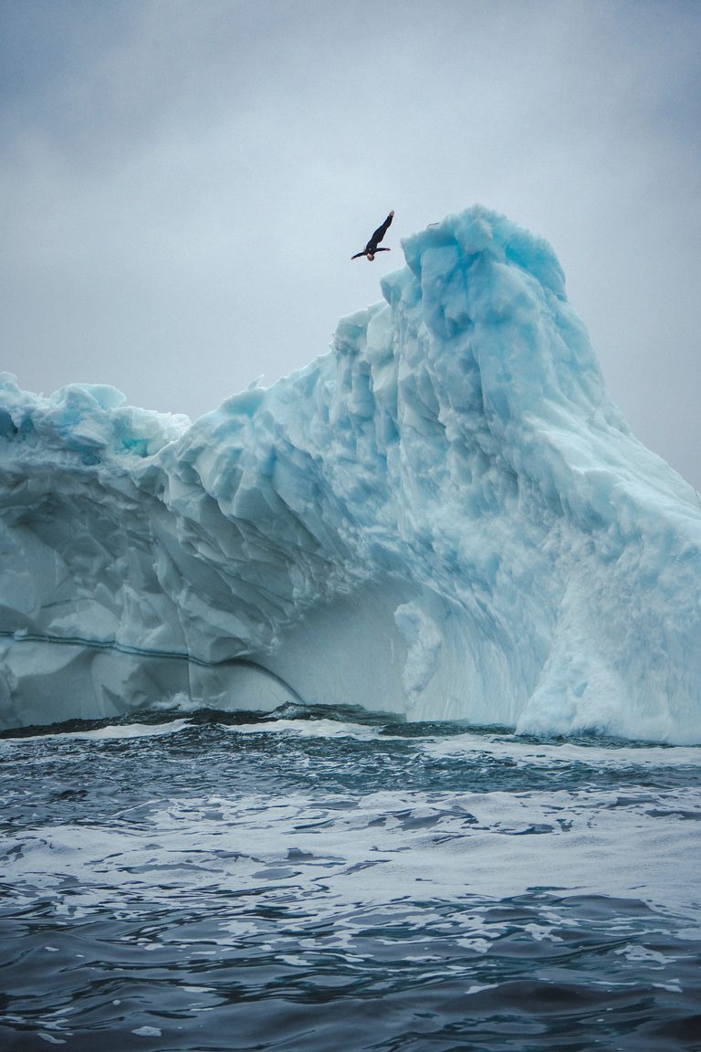 Molly Carlson Becomes First Woman to Dive off a Free-Standing Iceberg in Red Bull Iceberg Dive